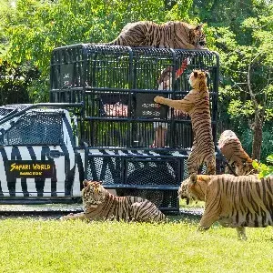 Family Travel Thailand: 6 Days of Bangkok & Pattaya