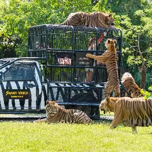 Family Trip to Thailand: Explore the Best of Bangkok & Pattaya