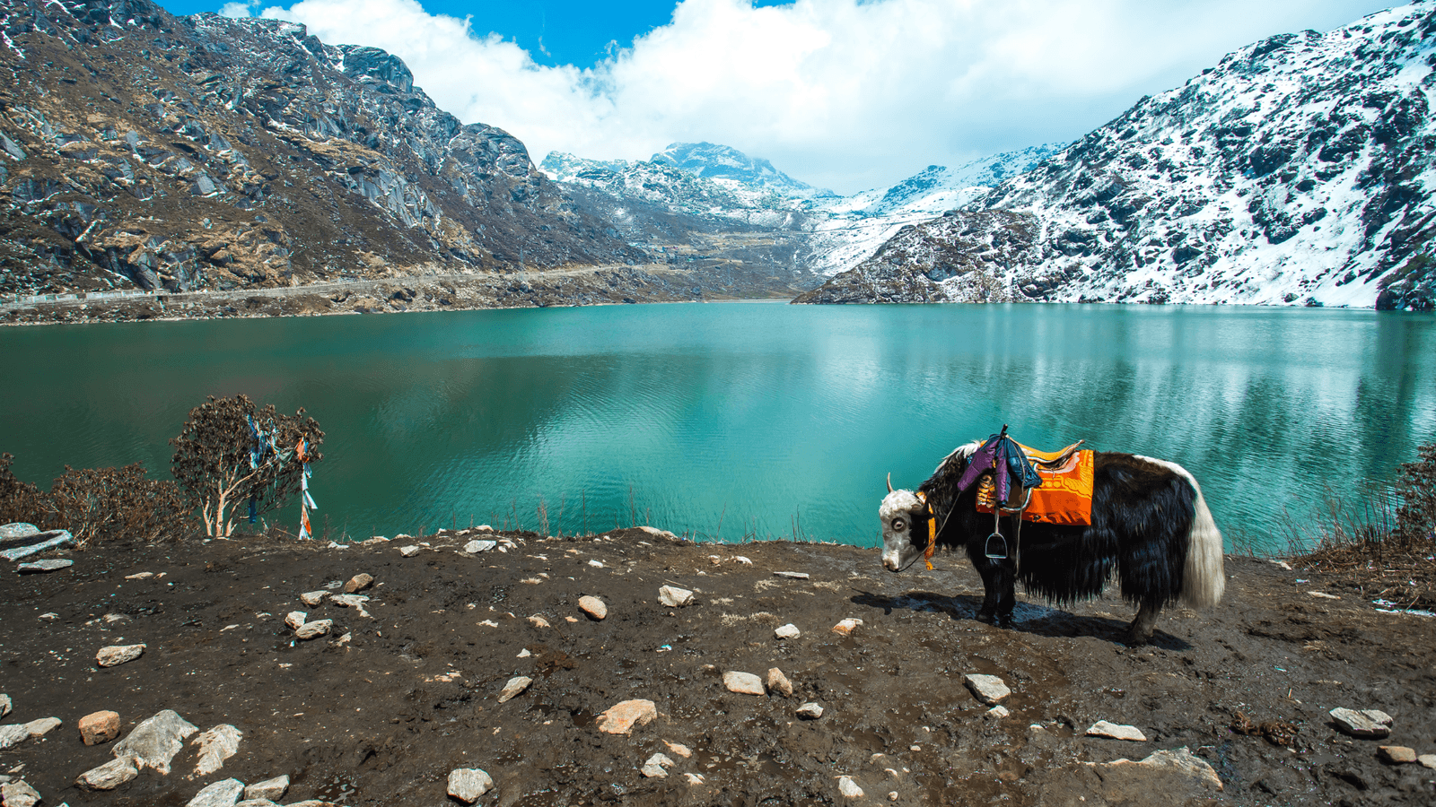 Gangtok - Kalimpong - Darjeeling