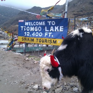 Gangtok Tour Itinerary: 6 Days of Himalayan Charm