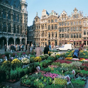 Germany Tour Package: Brussels to Amsterdam & Frankfurt Explorer