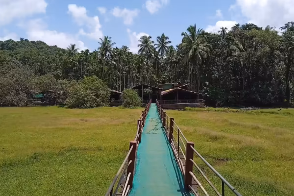 Goa Family Tour: Fun, Beaches & Memories — photo 3
