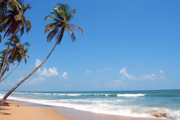 Goa Package for Couples: Sun, Sand, and Honeymoon Fun — photo 2