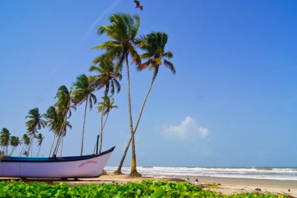 Goa Tour Package for Family: Beaches, Culture, and Fun — photo 2
