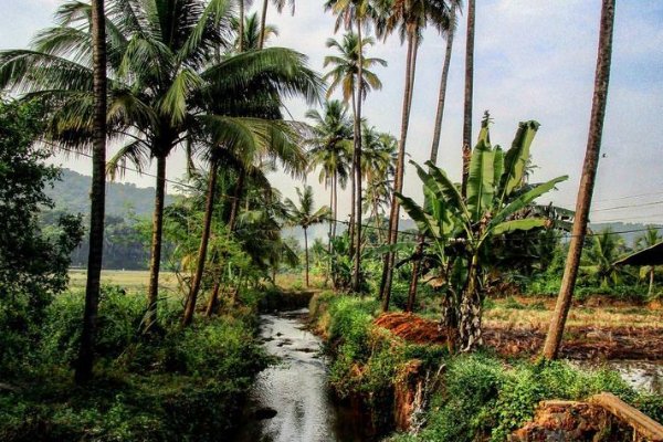 Goa Travel Package: Family Fun Awaits — photo 3