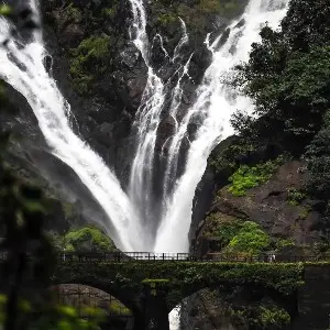 Goa Travel Package: Family Fun Awaits