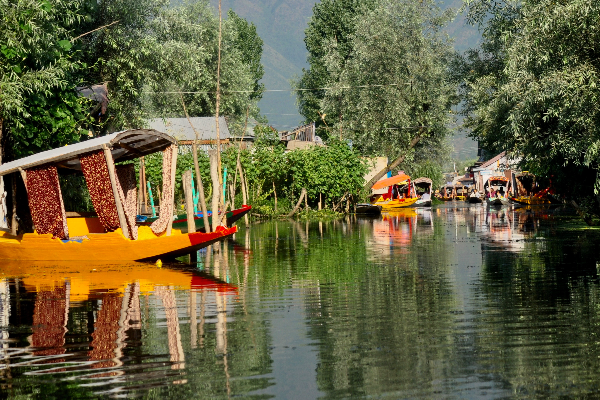 Heaven Unfolded: A 6D/5N Kashmir Tour Itinerary — photo 3