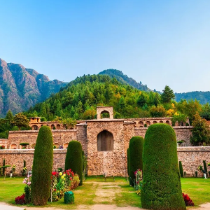 Heaven Unfolded: A 6D/5N Kashmir Tour Itinerary