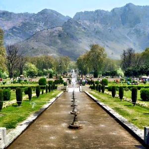 Heaven Unfolded: A 6D/5N Kashmir Tour Itinerary