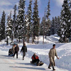 Heaven Unfolded: A 6D/5N Kashmir Tour Itinerary