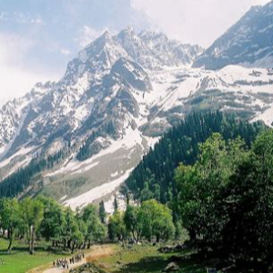 Heaven Unfolded: A 6D/5N Kashmir Tour Itinerary