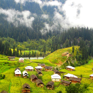 Heaven Unfolded: A 6D/5N Kashmir Tour Itinerary
