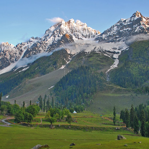 Heaven Unfolded: A 6D/5N Kashmir Tour Itinerary