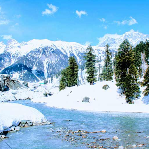 Heaven Unfolded: A 6D/5N Kashmir Tour Itinerary