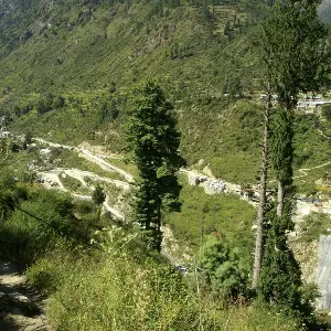 Himachal Tour Package: Explore Kasol, Tosh & Manali in 6 Days