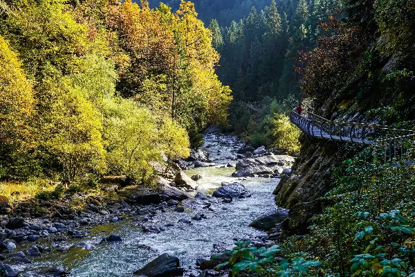 Himachal Tour: Tirthan Valley Getaway — photo 1