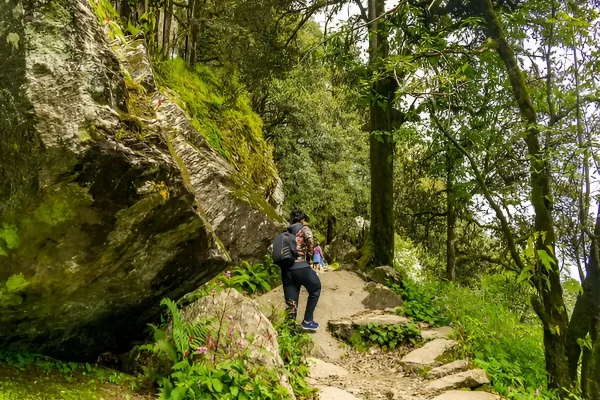 Himachal Tour: Tirthan Valley Getaway — photo 2