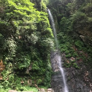 Himachal Tour: Tirthan Valley Getaway