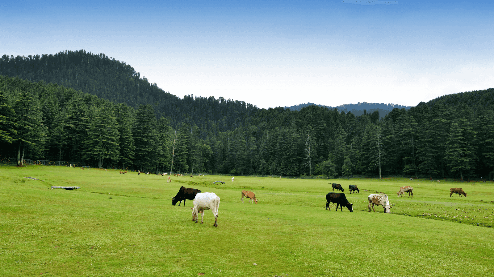 Himachal Trip Itinerary: Dalhousie, Khajjiar, McLeodganj & Bir