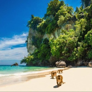 Honeymoon in Thailand: Discover Love from Bangkok to Phuket