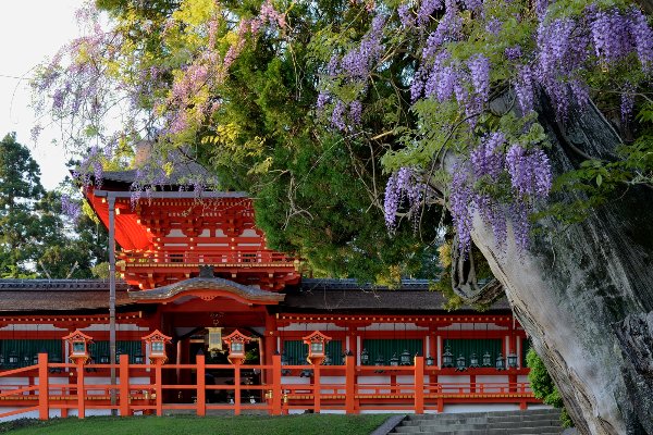 Japan Tour Itinerary Blending Modern Cities & Timeless Traditions — photo 4
