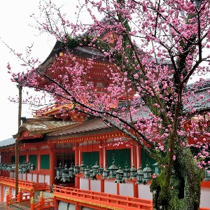 Japan Tour Itinerary Blending Modern Cities & Timeless Traditions