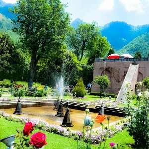 Kashmir 5-Day Tour Itinerary: A Slice of Heaven