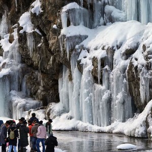 Kashmir 5-Day Tour Itinerary: A Slice of Heaven