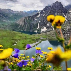 Kashmir 5-Day Tour Itinerary: A Slice of Heaven