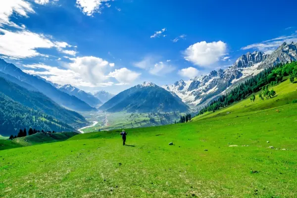 Kashmir Family Tour Package: Srinagar to Sonmarg Adventure — photo 1