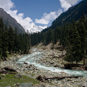 Kashmir Tour Itinerary: 6 Days of Lakes, Valleys & Himalayan Landscapes