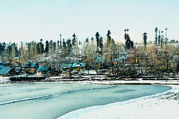 Kashmir tour: Mesmerizing Beauty — photo 3