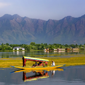 Kashmir tour: Mesmerizing Beauty