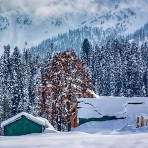 Kashmir tour: Mesmerizing Beauty
