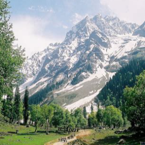 Kashmir tour: Mesmerizing Beauty