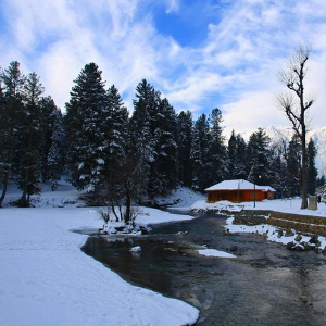 Kashmir tour: Mesmerizing Beauty