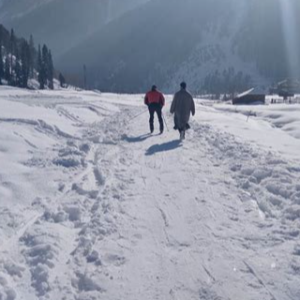 Kashmir tour: Mesmerizing Beauty