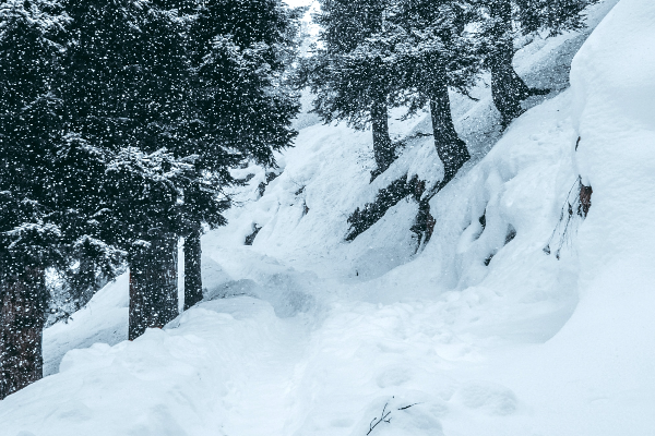 Kashmir trip package: A Heavenly Sojourn — photo 1