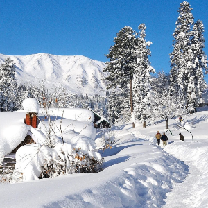 Kashmir trip package: A Heavenly Sojourn