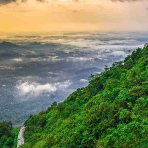 Kerala Family Package: Bangalore, Mysore, Wayanad & Coorg in 7 Days