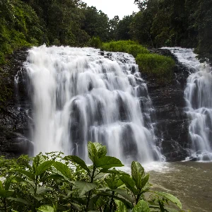 Kerala Family Package: Bangalore, Mysore, Wayanad & Coorg in 7 Days