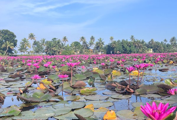 Kerala Family Tour: A Perfect Getaway for All Ages