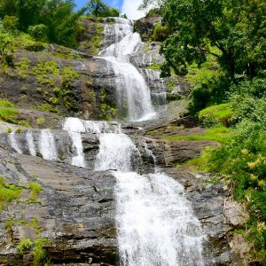 Kerala Family Tour: A Perfect Getaway for All Ages