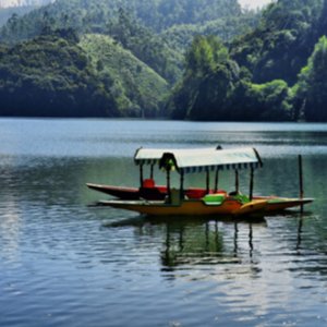 Kerala Family Tour: A Perfect Getaway for All Ages