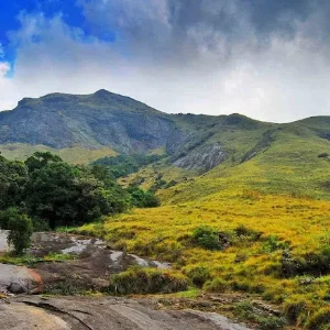 Kerala Family Tour: A Perfect Getaway for All Ages