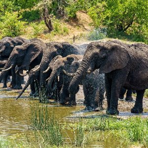 Kerala Family Tour: A Perfect Getaway for All Ages