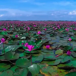 Kerala Family Tour: A Perfect Getaway for All Ages