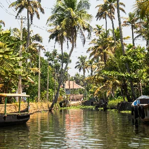 Kerala Family Tour: A Perfect Getaway for All Ages