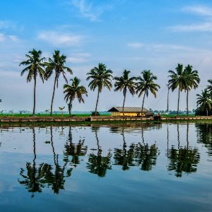 Kerala Family Tour: A Perfect Getaway for All Ages