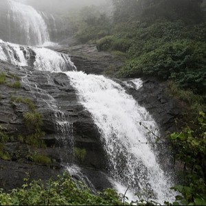 Kerala Tour Package 5 Nights 6 Days: Kerala in One Sweep